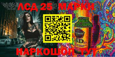 гидропоника Пенза