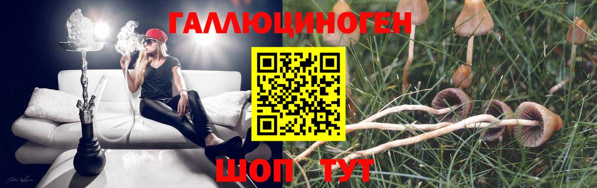 Похвистнево  Псилоцибиновые грибы прущие грибы  Вход с VPN 
