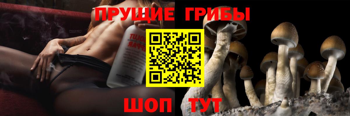 Галлюциногенные грибы MAGIC MUSHROOMS Похвистнево